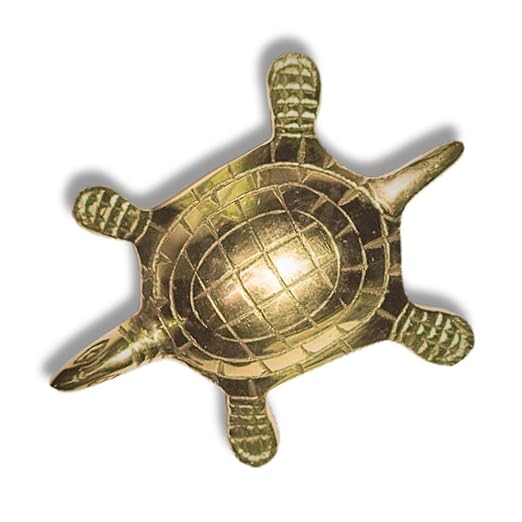 Golden Turtle Vastu Remedy for Wealth, Protection & Stability
