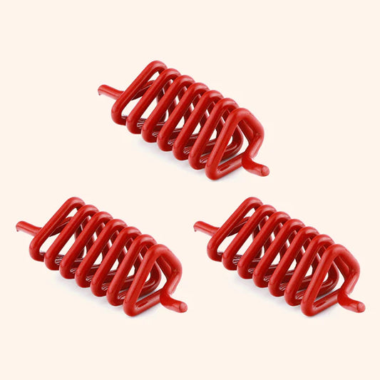 Red Clockwise Spring | Powerful Vastu Remedy for Energy Flow, Protection & Positivity