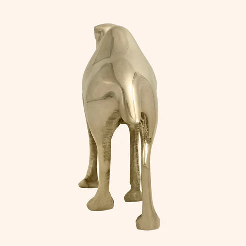 🐪 Golden Camel Showpiece – Symbol of Strength, Endurance & Prosperity (16 × 16 × 6 cm)