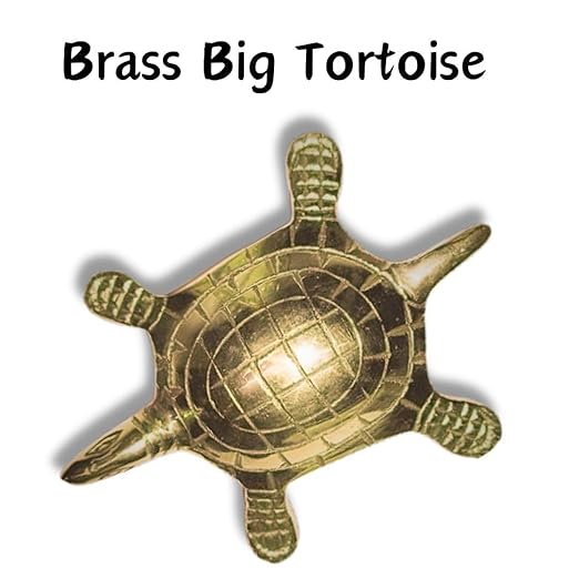 ✨ Golden Turtle Vastu Remedy for Wealth, Protection & Stability
