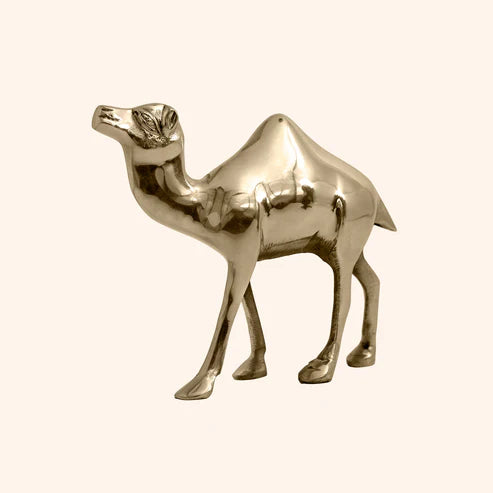 🐪 Golden Camel Showpiece – Symbol of Strength, Endurance & Prosperity (16 × 16 × 6 cm)