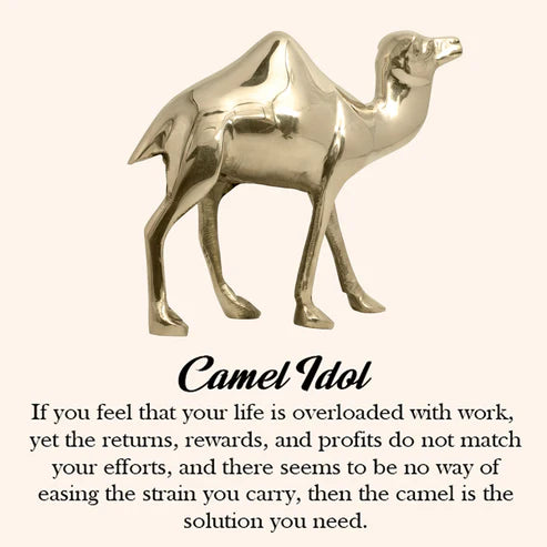 🐪 Golden Camel Showpiece – Symbol of Strength, Endurance & Prosperity (16 × 16 × 6 cm)