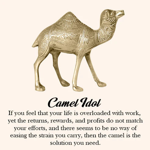 🐪 Golden Camel Showpiece – Symbol of Strength, Endurance & Prosperity (16 × 16 × 6 cm)